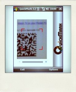 3_1-pola